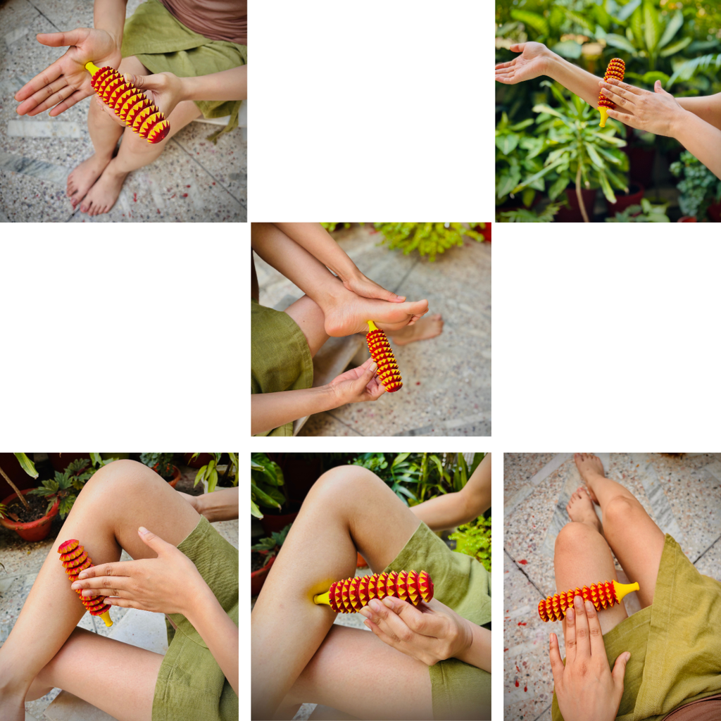 Porcupine Acupressure roller